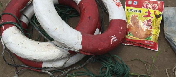 中国はユーロ圏を救うのか？ - Sputnik 日本