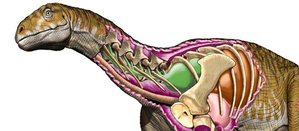 Художественное изображение гигантского ящера Ingentia prima - Sputnik 日本
