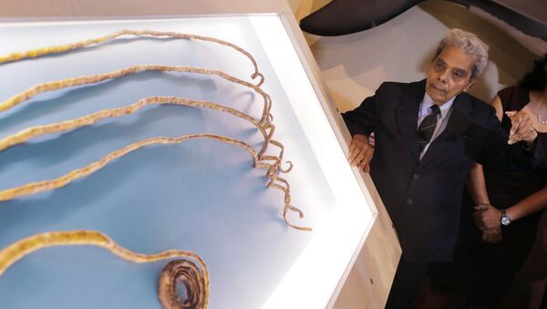 世界最長の爪、６６年伸ばしたあとに切る　インド男性【動画】 - Sputnik 日本