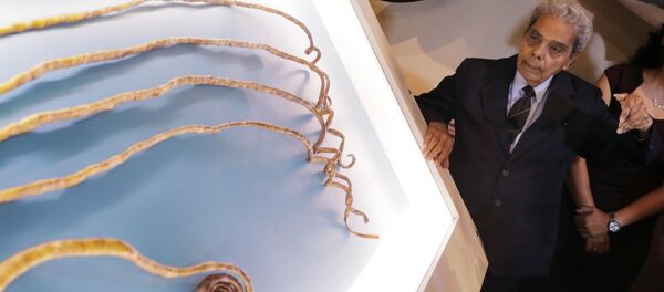 世界最長の爪、66年伸ばしたあとに切る インド男性【動画】 世界最長の爪、66年伸ばしたあとに切る インド男性【動画】 - Sputnik 日本