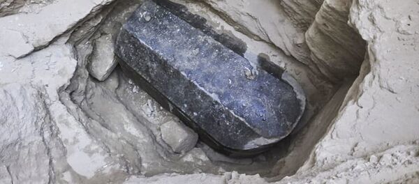 エジプトで謎の黒い石棺が発見 エジプトで謎の黒い石棺が発見 - Sputnik 日本