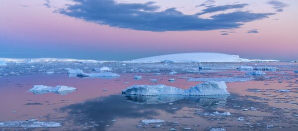 南極 - Sputnik 日本
