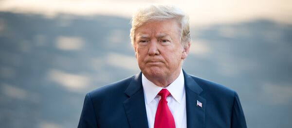 露米首脳会談　ロシアと折り合いを＝トランプ大統領 - Sputnik 日本