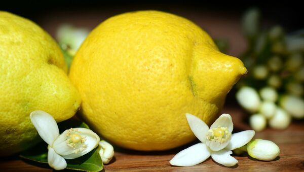 Un citron - Sputnik 日本