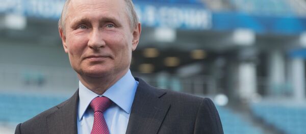 Президент РФ Владимир Путин во время осмотра стадиона Фишт после реконструкции - Sputnik 日本