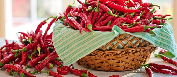 唐辛子 唐辛子 - Sputnik 日本