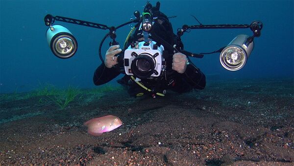伊エオリア諸島の海底を撮影する写真家 - Sputnik 日本