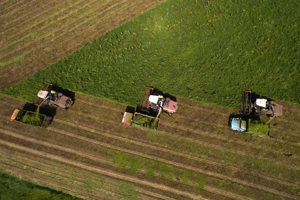 家畜の飼料作り ロシア 家畜の飼料作り ロシア - Sputnik 日本