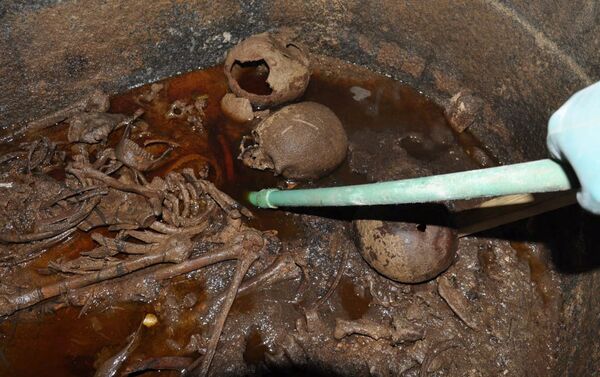 黒い石棺から発見のミイラ、誰のものか学者らが説明 - Sputnik 日本