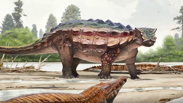 Новый вид динозавров Akainacephalus johnsoni - Sputnik 日本