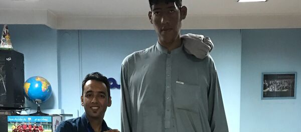 アフガニスタンの巨人 アフガニスタンの巨人 - Sputnik 日本