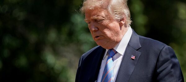 Donald Trump, presidente de EEUU Donald Trump, presidente de EEUU - Sputnik 日本