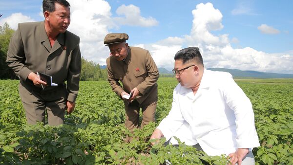 North Korea leader Kim Jong Un inspects Chunghung farm in Samjiyon County - Sputnik 日本