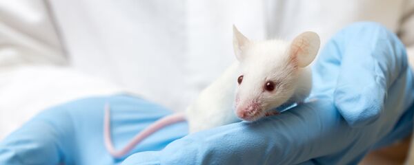 Ученый держит лабораторную мышь - Sputnik 日本