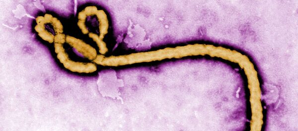 エボラ出血熱 エボラ出血熱 - Sputnik 日本