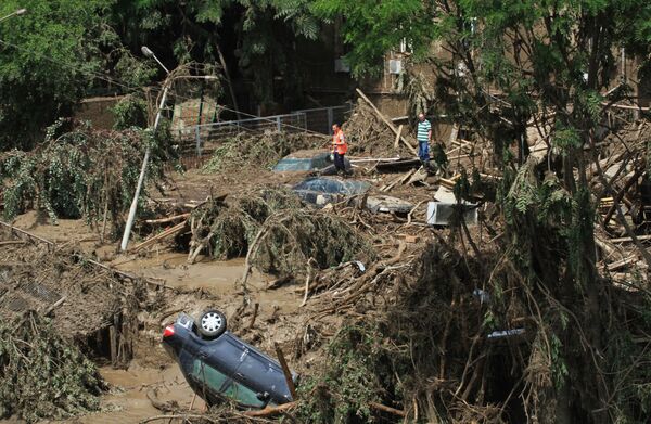 グルジアの首都トビリシの動物園、６月１４日、豪雨の結果、大洪水で浸水 - Sputnik 日本