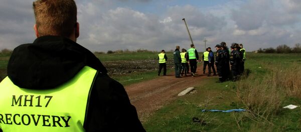 MH17便の国際合同調査班が撃墜についての自らの説の技術的根拠の欠落を示す MH17便の国際合同調査班が撃墜についての自らの説の技術的根拠の欠落を示す - Sputnik 日本