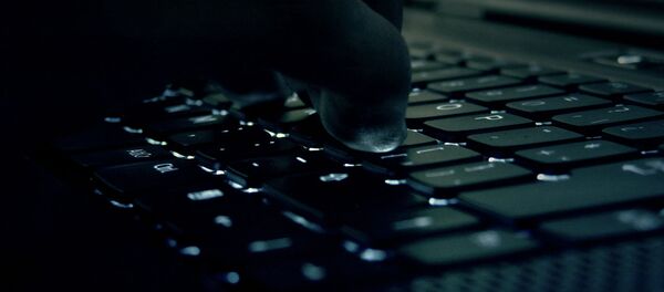 日本、11月にサイバー安全保障に関する協議を行う 日本、11月にサイバー安全保障に関する協議を行う - Sputnik 日本