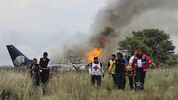 メキシコで墜落した旅客機の乗客１１人が航空会社を起訴 - Sputnik 日本
