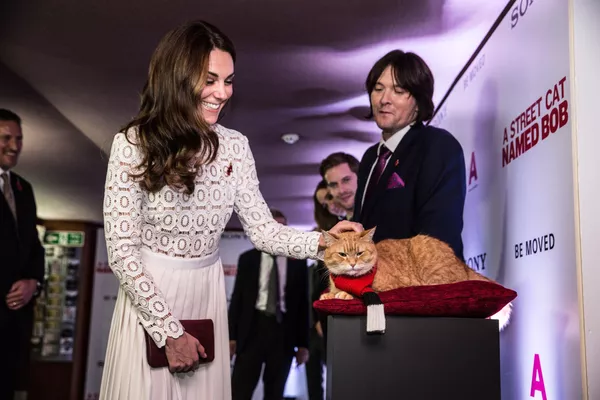 イギリスで行われた映画『ボブという名の猫 幸せのハイタッチ』のロンドンプレミアでのキャサリン妃 イギリスで行われた映画『ボブという名の猫 幸せのハイタッチ』のロンドンプレミアでのキャサリン妃 - Sputnik 日本
