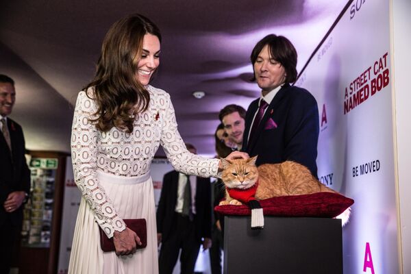 イギリスで行われた映画『ボブという名の猫 幸せのハイタッチ』のロンドンプレミアでのキャサリン妃 - Sputnik 日本
