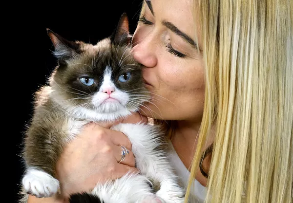 有名な「グランピー・キャット」と飼い主 有名な「グランピー・キャット」と飼い主 - Sputnik 日本