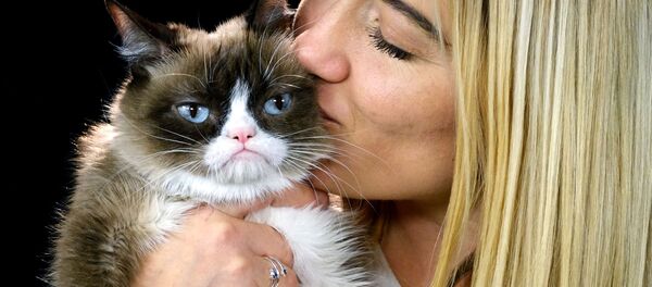 世界猫の日 世界一ネコ好きで打倒ナチスに命を賭した国はどこ? 世界猫の日 世界一ネコ好きで打倒ナチスに命を賭した国はどこ? - Sputnik 日本