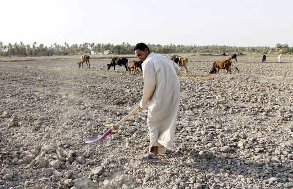 干ばつの影響を受ける畑で作業する男性。イラク - Sputnik 日本