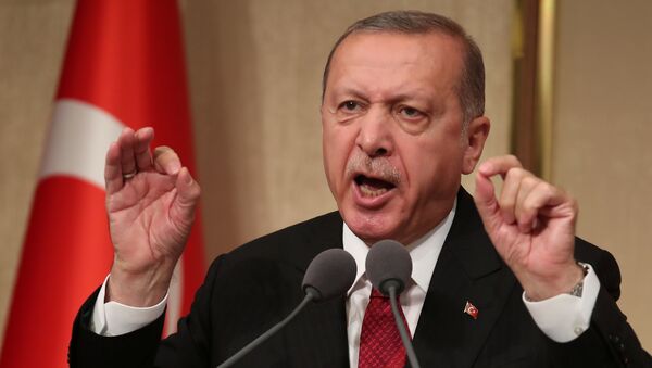 Recep Tayyip Erdogan, presidente de Turquía - Sputnik 日本