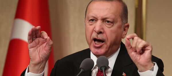 Recep Tayyip Erdogan, presidente de Turquía - Sputnik 日本