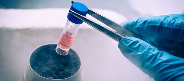 研究室 研究室 - Sputnik 日本