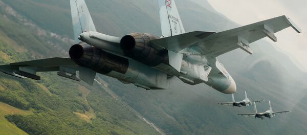 ロシア国境で偵察機35機が確認 - Sputnik 日本