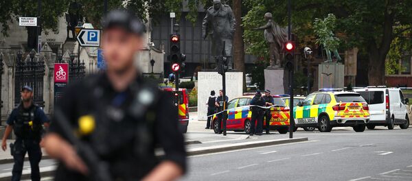 英国議事堂付近で柵に車が突っ込む　軍事警察が車を包囲　マスコミ報道 - Sputnik 日本