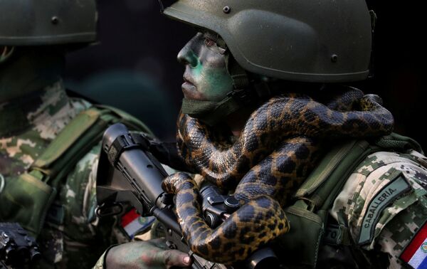 パラグアイの軍事パレードで、首にヘビを巻きつけた特殊部隊兵士 - Sputnik 日本