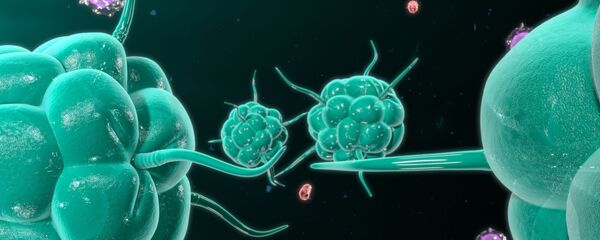 Раковые клетки во время нападения на иммунную систему человека - Sputnik 日本