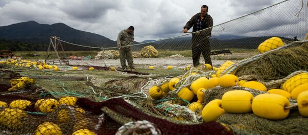 国際水産フォーラム 世界の食卓に魚を並べ、海の生物資源を枯渇させないために 国際水産フォーラム 世界の食卓に魚を並べ、海の生物資源を枯渇させないために - Sputnik 日本