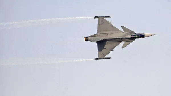 鳥と衝突し戦闘機墜落　スウェーデン