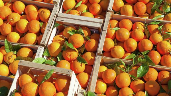 Апельсины - Sputnik 日本