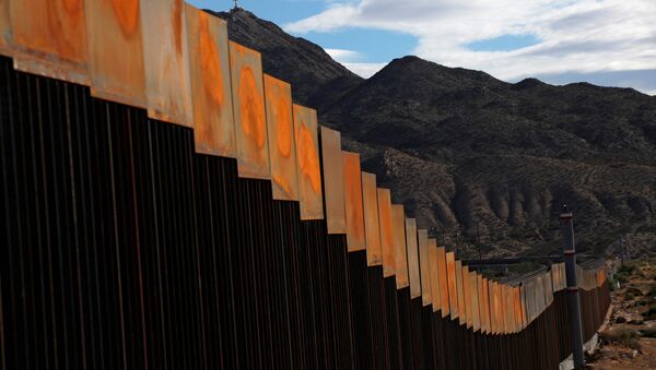 メキシコ国境の壁建設費（アーカイブ写真） - Sputnik 日本