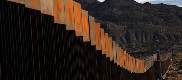 Una sección recién construida del muro en la frontera entre Estados Unidos y México Una sección recién construida del muro en la frontera entre Estados Unidos y México - Sputnik 日本