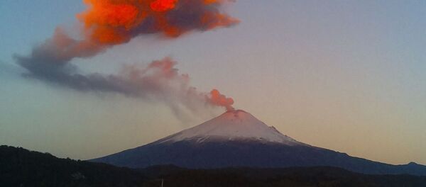 火山 - Sputnik 日本