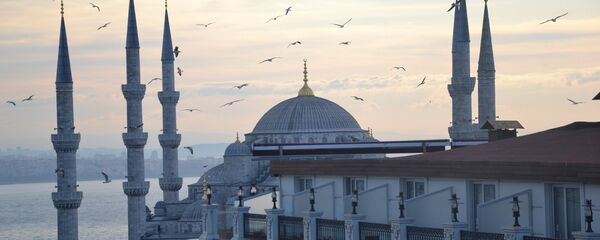 トルコ
 トルコ
 - Sputnik 日本