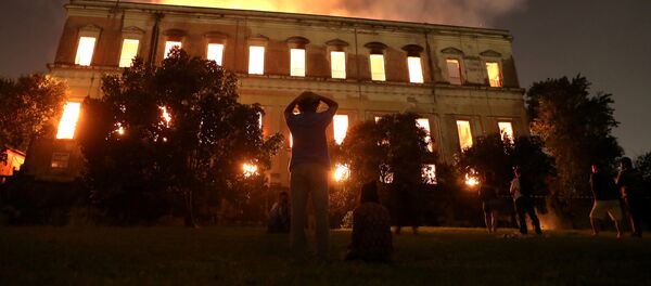 ブラジル最古の博物館が全焼 - Sputnik 日本