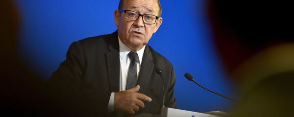 ジャン=イヴ・ル・ドリアン外相 ジャン=イヴ・ル・ドリアン外相 - Sputnik 日本