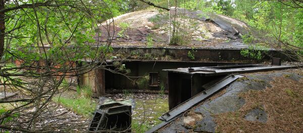 廃墟 廃墟 - Sputnik 日本