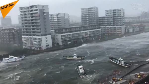 屋根がふっ飛び、大木が倒れ　日本を襲った台風２１号の爪痕 - Sputnik 日本