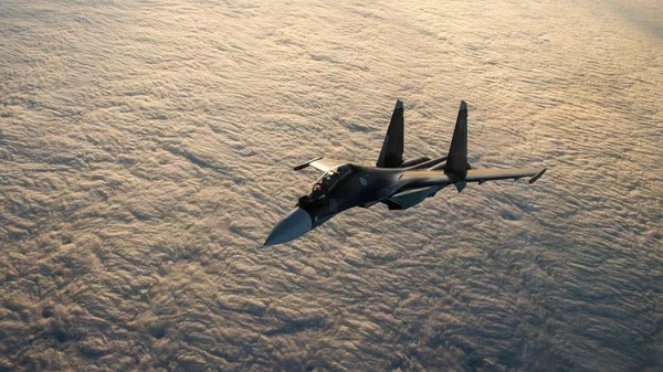 Su-30 - Sputnik 日本