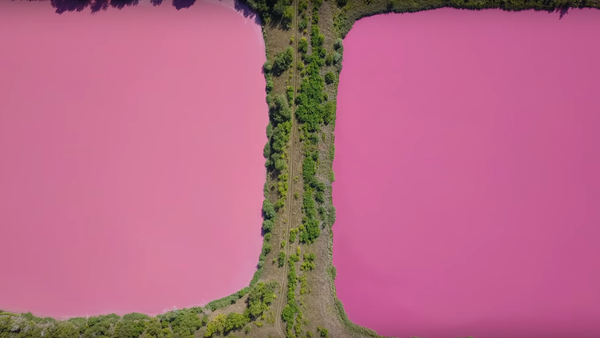 鮮やかなピンク色の水を湛えた池、露の都市で発見 - Sputnik 日本