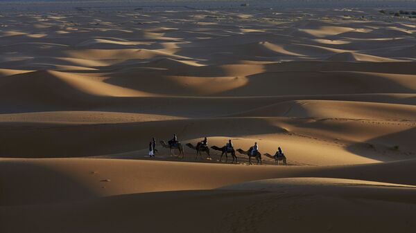 Караван верблюдов на дороге тысячи крепостей в пустыне Сахара, Марокко - Sputnik 日本