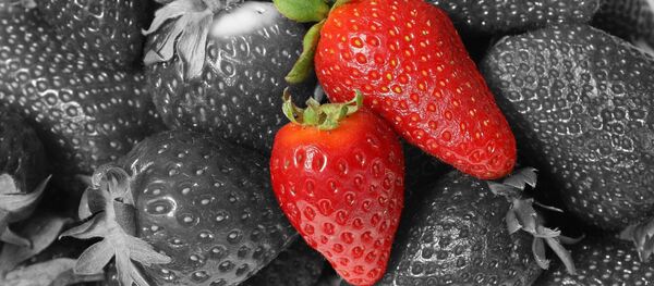 Клубника - Sputnik 日本